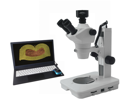 端子截面分析試樣操作流程